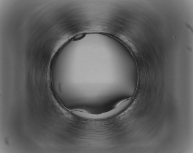 X0000098091469200804251243