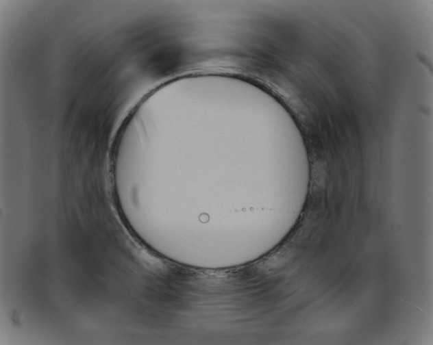 X0000098091470200804251243