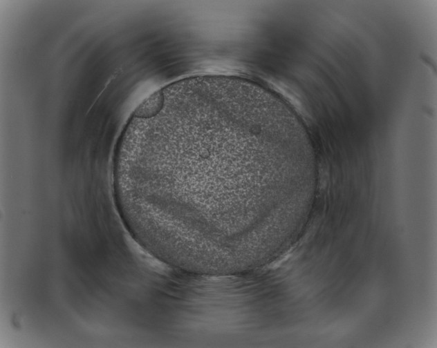 X0000098091471200804251243