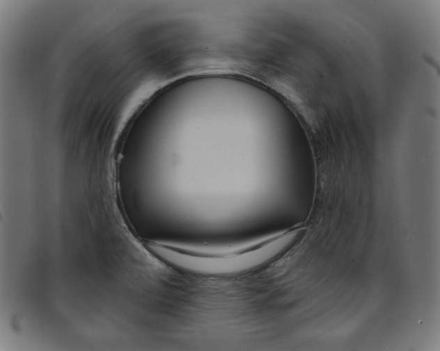 X0000098091472200804251243