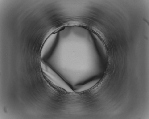 X0000098091473200804251243