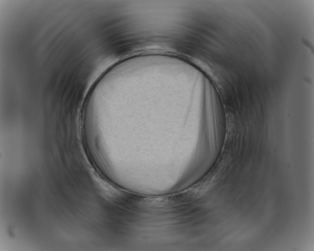 X0000098091474200804251243
