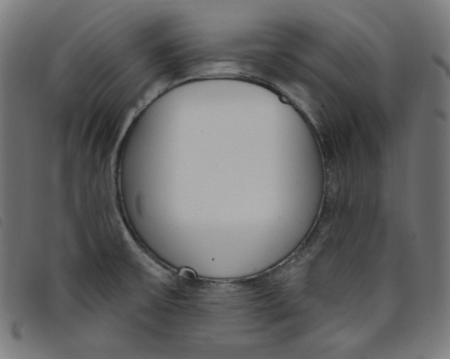 X0000098091475200804251243