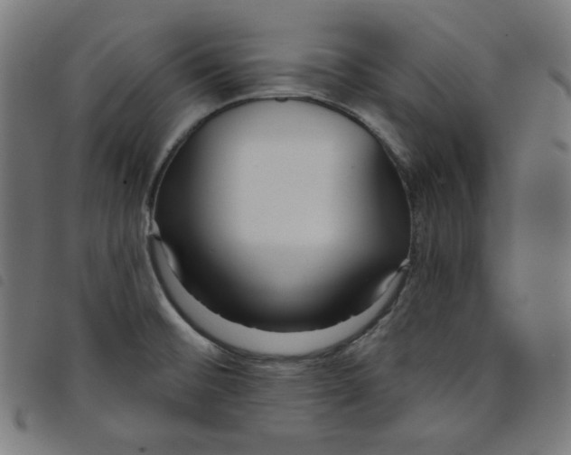 X0000098091476200804251243