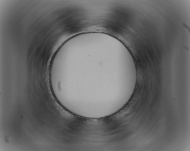 X0000098091478200804251243