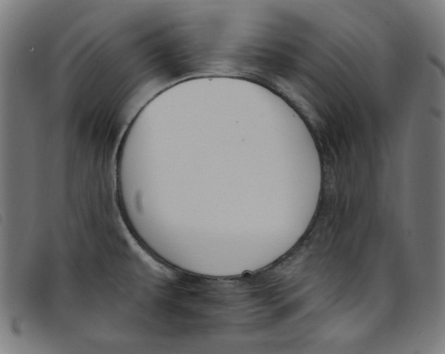 X0000098091479200804251243