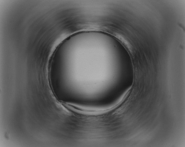X0000098091480200804251243