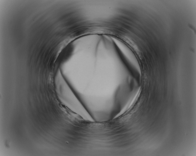 X0000098091481200804251243