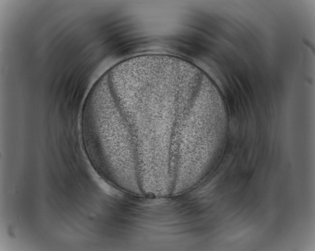 X0000098091482200804251243