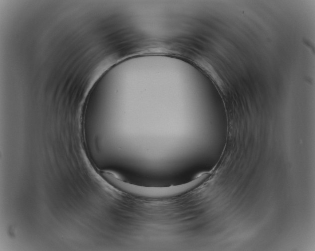X0000098091483200804251243