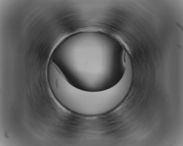 X0000098091484200804251243
