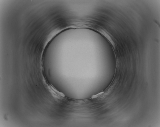 X0000098091485200804251243