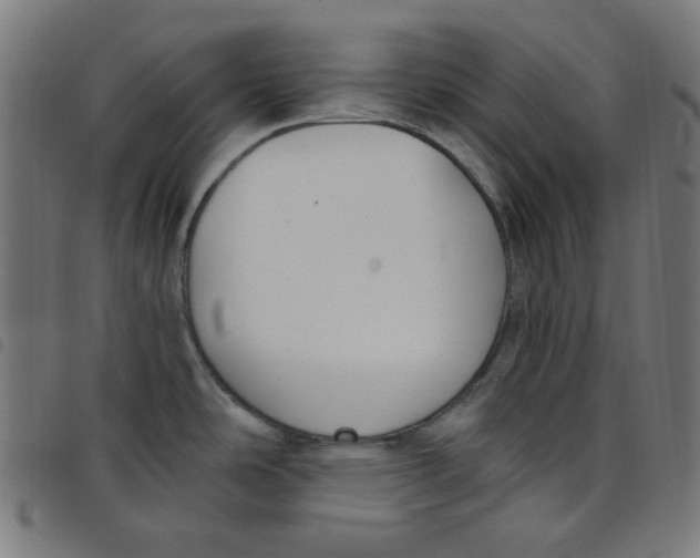 X0000098091486200804251243