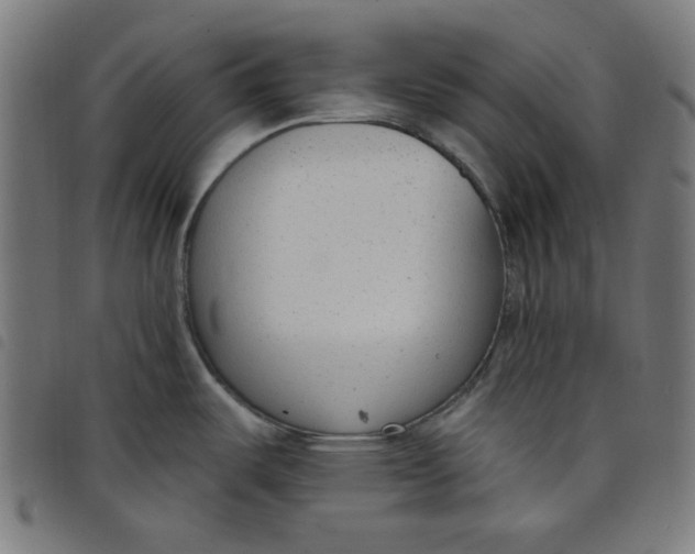 X0000098091487200804251243
