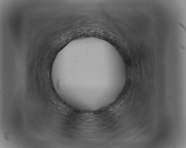 X0000098091489200804251242