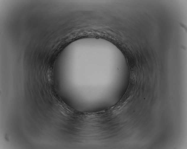 X0000098091490200804251242