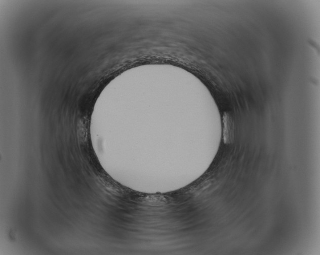 X0000098091491200804251242