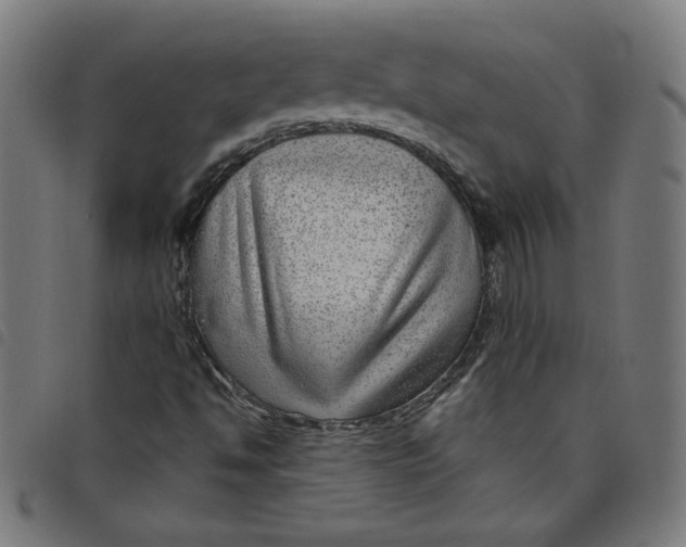 X0000098091494200804251242