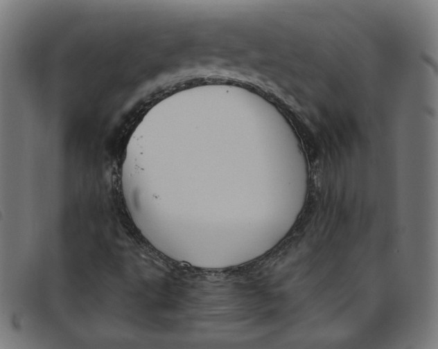 X0000098091495200804251242