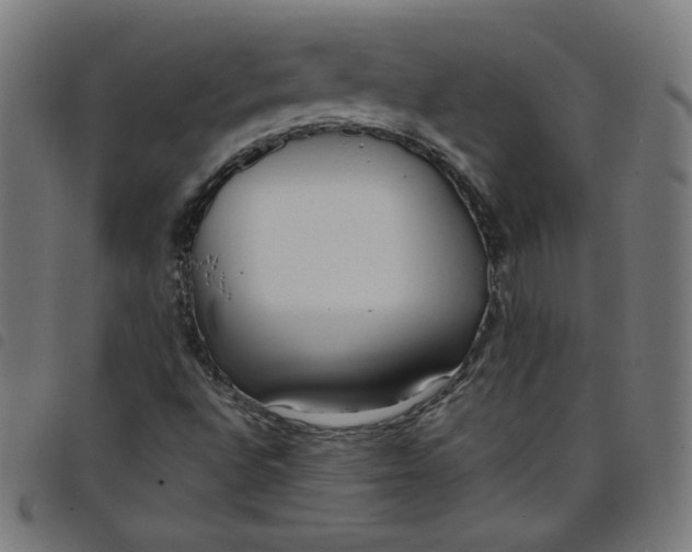X0000098091496200804251242