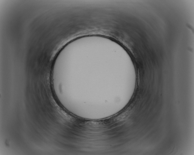 X0000098091500200804251242
