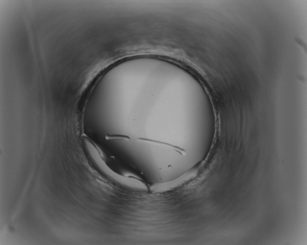 X0000098091501200804251242