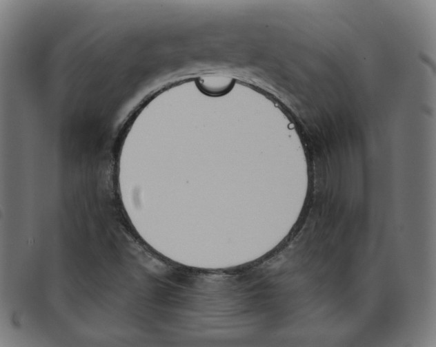 X0000098091502200804251242