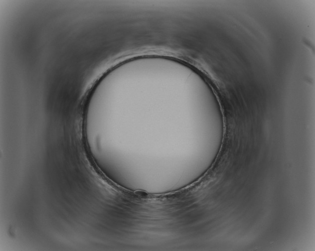 X0000098091504200804251242