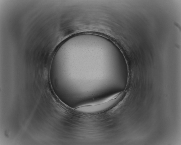 X0000098091505200804251242