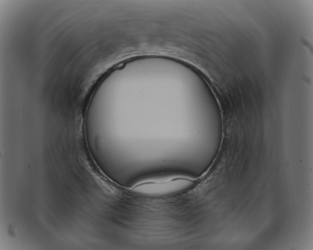 X0000098091507200804251242