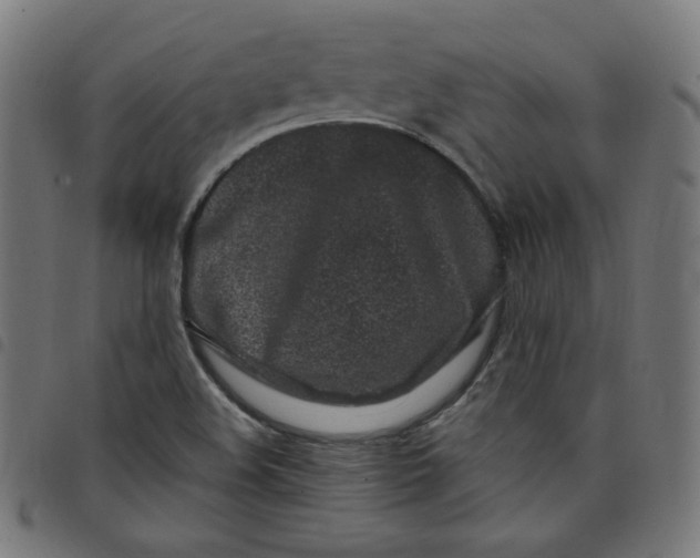 X0000098091508200804251242