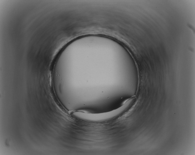 X0000098091509200804251242