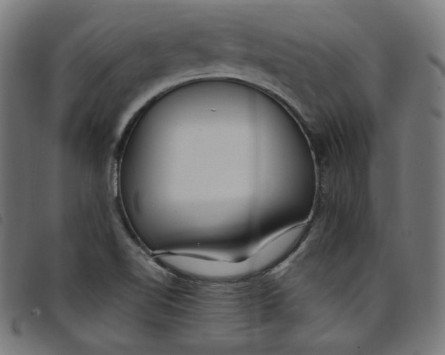 X0000098091510200804251242