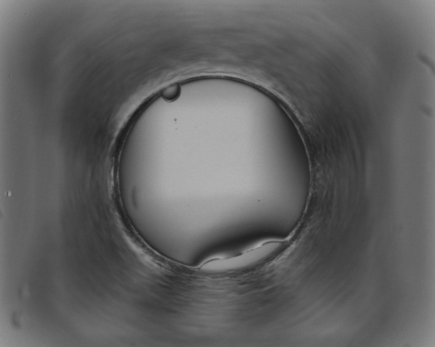X0000098091511200804251242