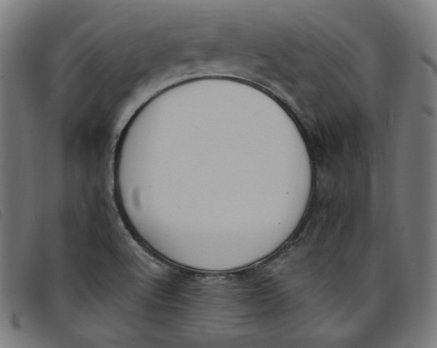 X0000098091512200804251242
