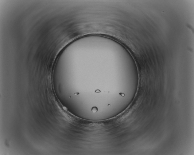 X0000098091513200804251242