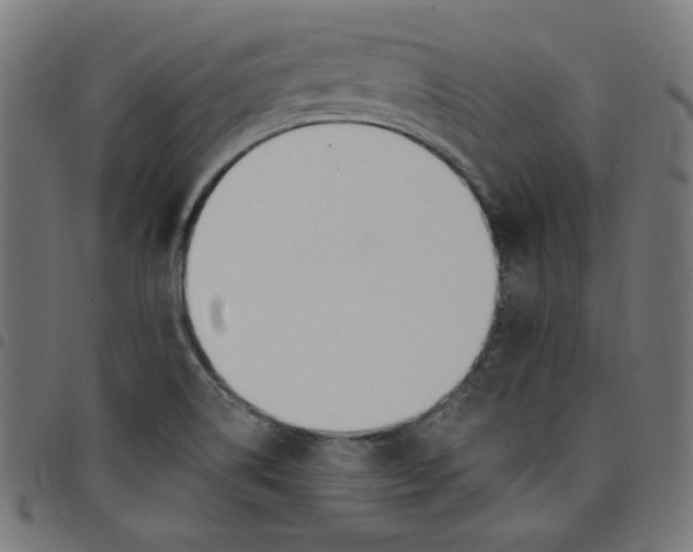 X0000098091514200804251242