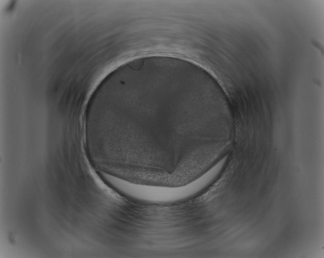X0000098091515200804251242