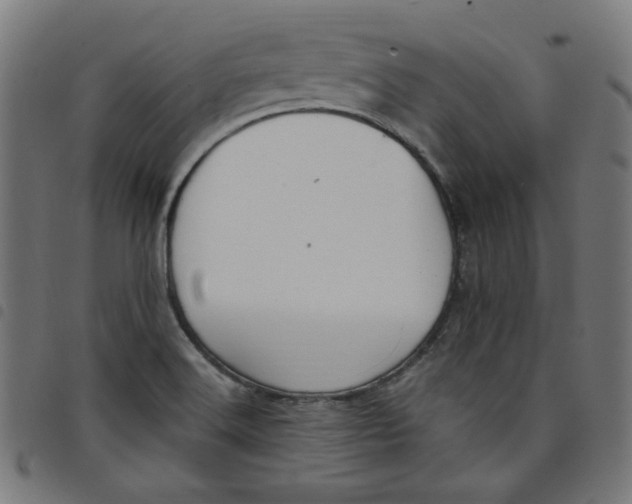 X0000098091516200804251242