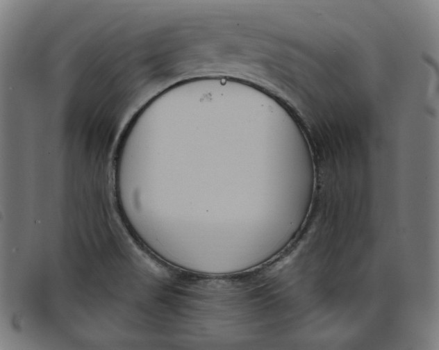 X0000098091517200804251242