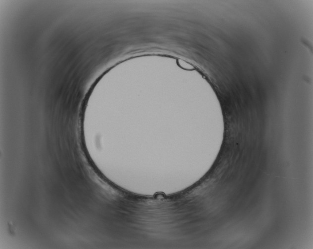X0000098091518200804251243