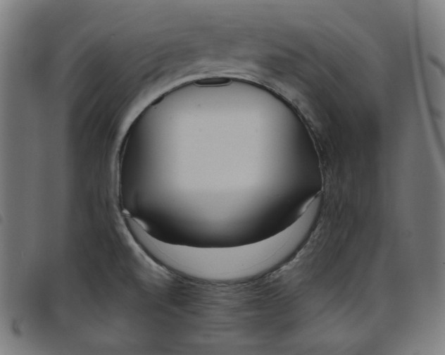 X0000098091520200804251243