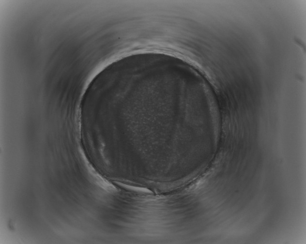 X0000098091522200804251243