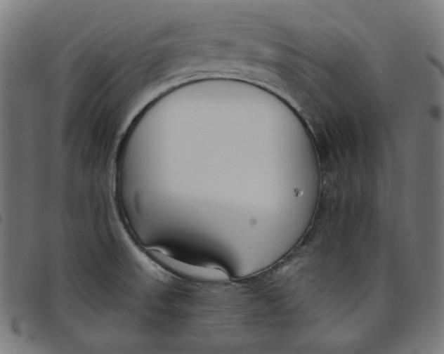 X0000098091523200804251243
