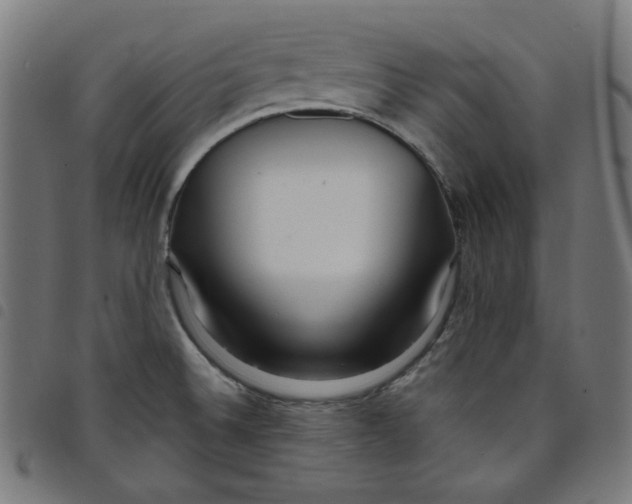 X0000098091524200804251243