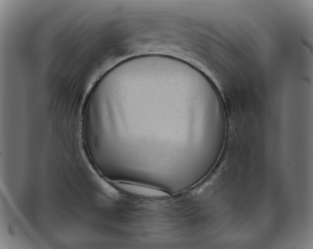 X0000098091525200804251243