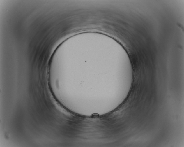X0000098091526200804251243