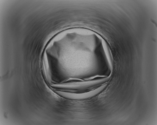 X0000098091527200804251243