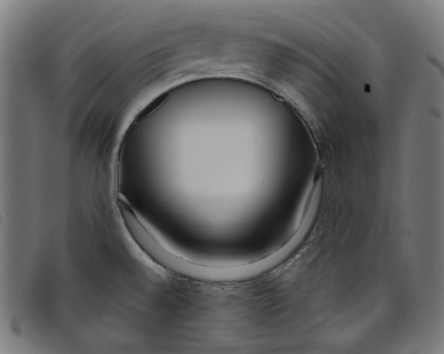 X0000098091528200804251243