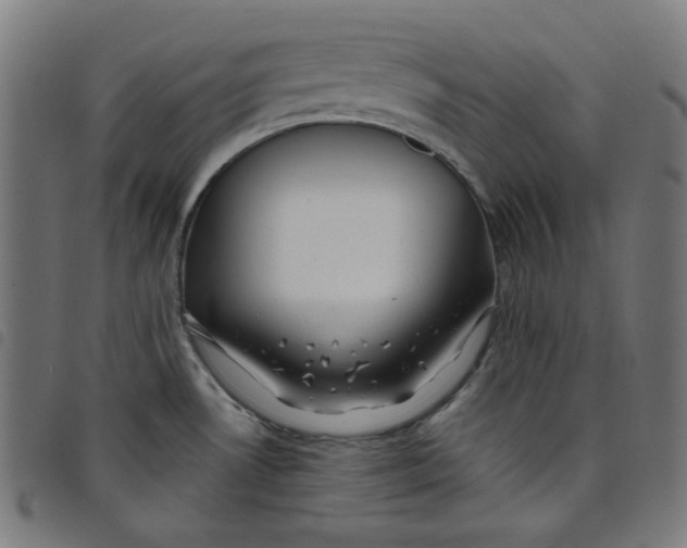 X0000098091530200804251243